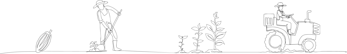 cocoa-farming-illustration