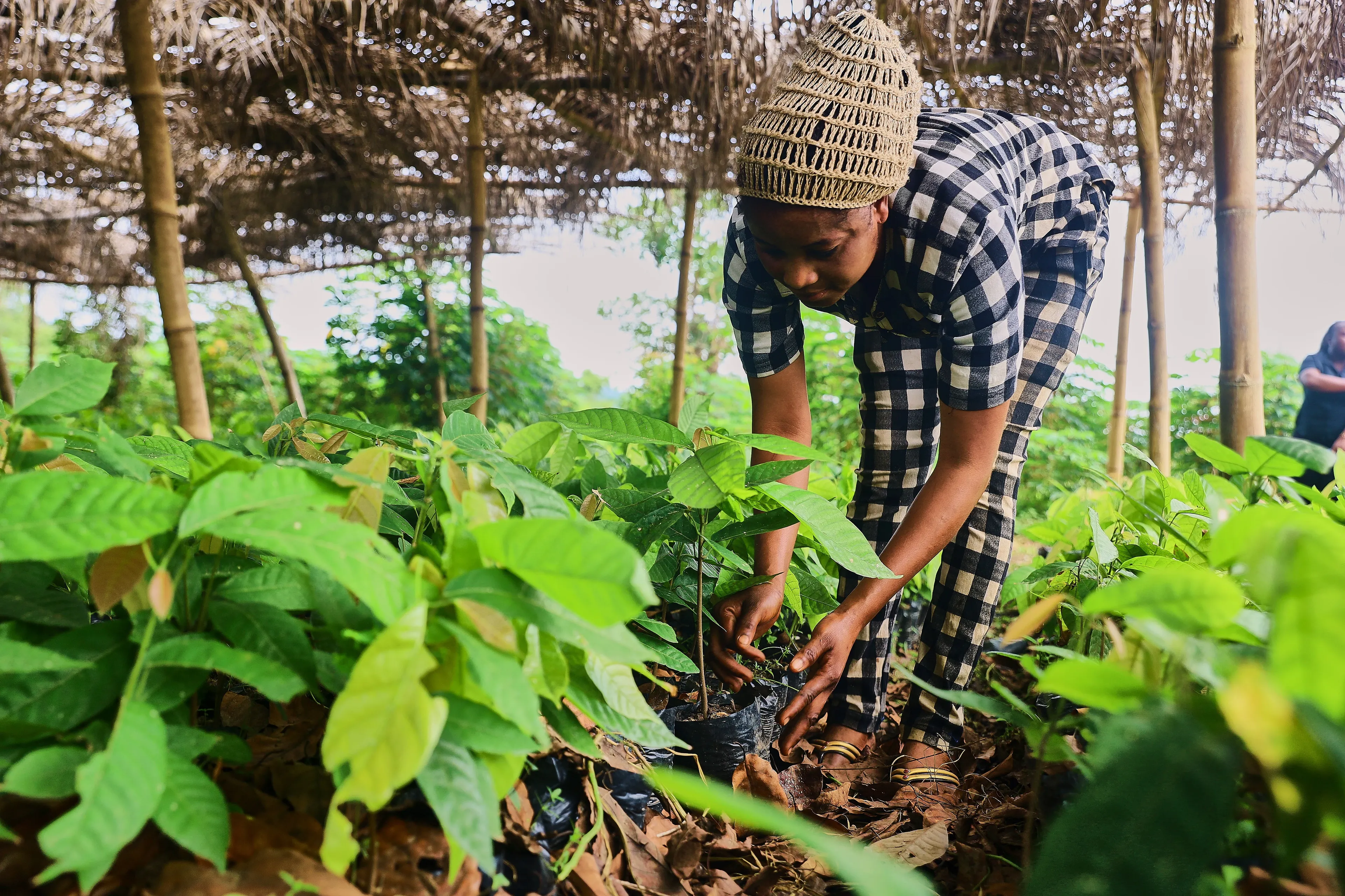Promoting Sustainable Farming Practices