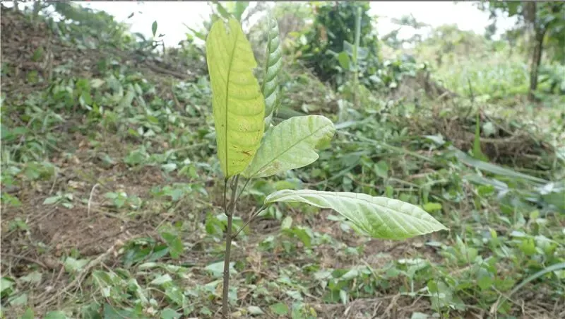 Promoting Sustainable Land Management